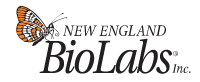New England Biolabs open jobs